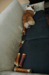 1380944531-3108164381