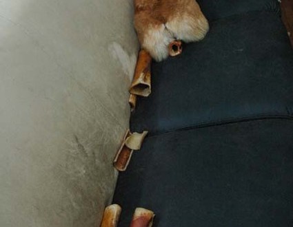 1380944531-3108164381