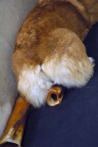 1380944531-3882727950