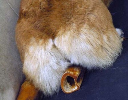 1380944531-3882727950