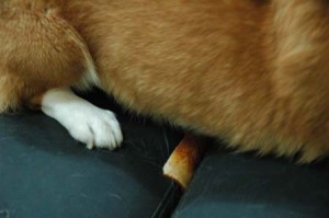 1380944532-1965267625