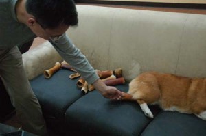 1380944532-617971113