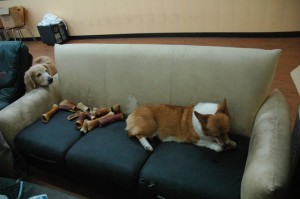 1380944533-1329411206