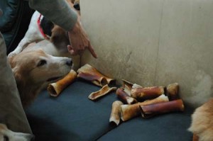 1380944533-1851768507