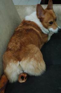 1380944534-1489599809