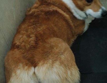 1380944534-1489599809