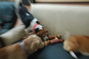 1380944534-2972893721