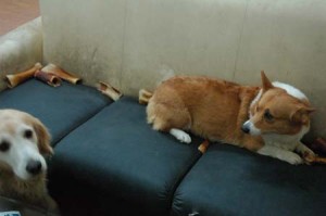 1380944535-1236051006