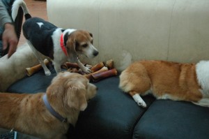 1380944535-2298718645