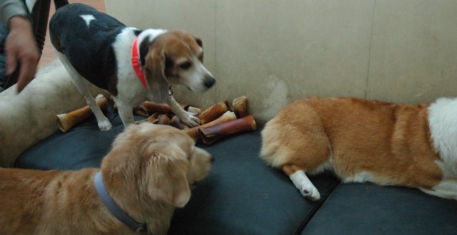 1380944535-2298718645