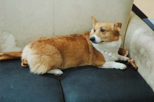 1380944535-265115859