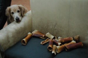 1380944536-3173074435