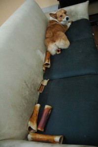 1380944536-560802855