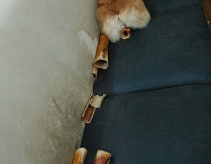 1380944536-560802855