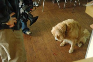 1380944537-2180680180