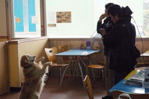 1380944537-3354694965