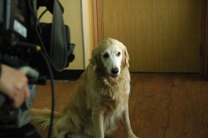 1380944544-349761819