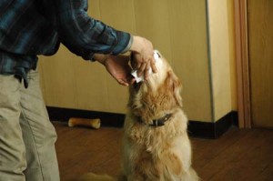 1380944544-4229263330