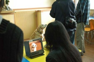 1380944545-2144306794