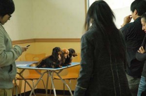 1380944545-2297632625