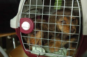 1380944546-3529869687