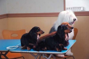 1380944546-906949828