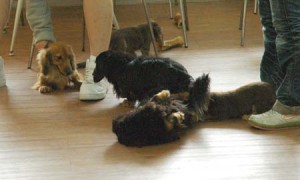 1380944547-162567828