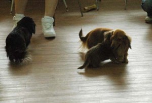 1380944547-355305829