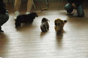 1380944547-4139055080