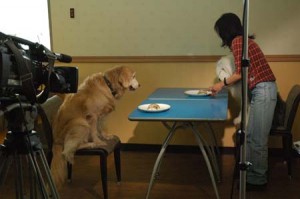 1380944548-2853728940