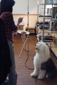 1380944548-917003715