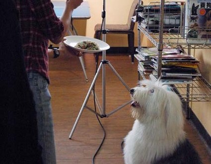 1380944548-917003715