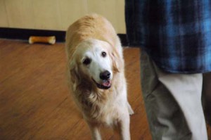 1380944549-2891211701