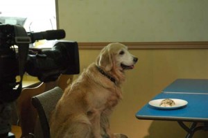 1380944549-595070482