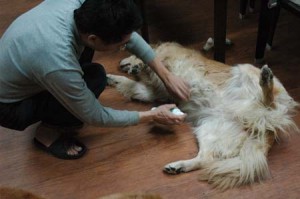 1380944556-3692816510