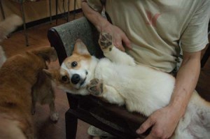 1380944557-2339744691