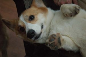 1380944557-2700662712