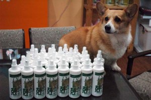 1380944558-3490686464