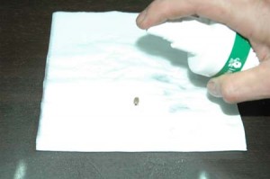 1380944558-4193782320