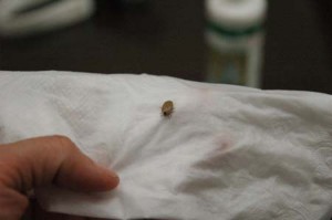 1380944559-2301376871