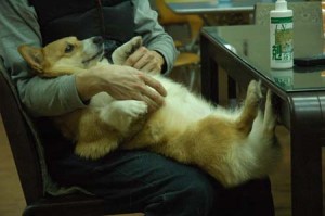 1380944560-1726334200