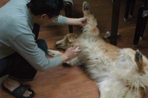 1380944560-4004926106