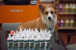 1380944561-3617686771