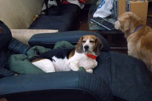 1380944570-2162291705