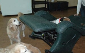 1380944571-1053189436