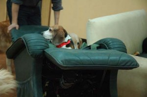 1380944571-1246545371