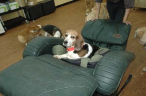 1380944572-282227537