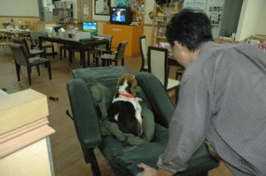 1380944573-3554799478