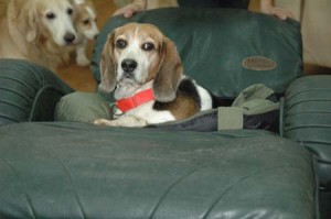 1380944574-3243639172