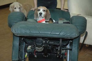 1380944574-4067681058